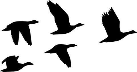 Six flying geese Stock Illustration