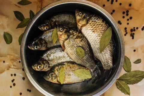 Six fresh raw fish with spices Stock Photos
