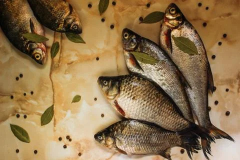 Six fresh raw fish with spices Stock Photos