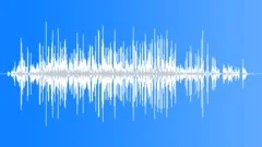 Six Horses On GravelSound Effect