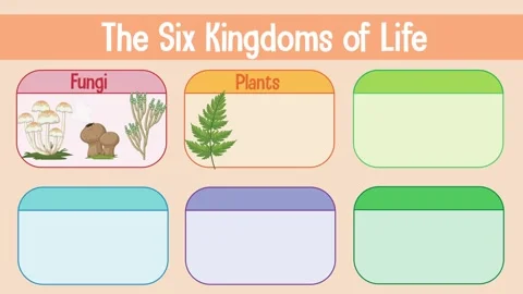 Six Kingdoms of Life Chart with Animals Fungi Plants Protists and Bacteria .. Vídeos de archivo 333818892
