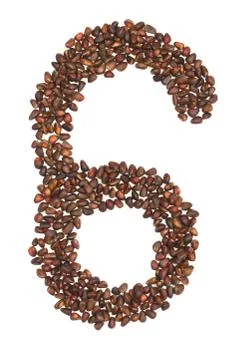 Six number made of cedar  nuts 스톡 사진