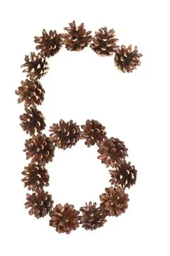 Six number made of pine cone Stock Photos