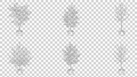 Six nursery trees with root balls isolated on transparent background Illustrazione stock
