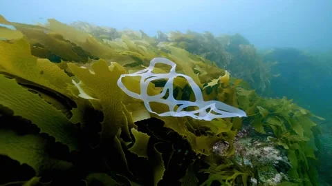 Six pack ring underwater - worlds worst plastic pollution Vidéo 143229545