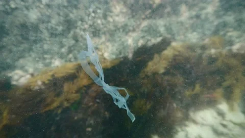 Six pack ring underwater - worlds worst plastic pollution Video stock 158088944
