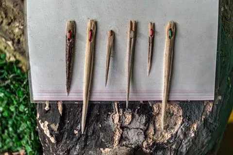 Six pencils with varying sharp points on a textured tree bark background, a.. Stock Photos