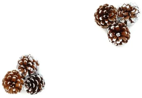 Six Pine Cones as Background for Winter Stock Photos
