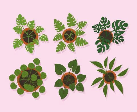 Six plants on pots Ilustración de archivo