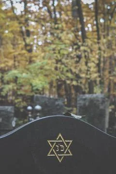 Six pointed star or hexagram on tombstone. Autumn jewish Cemetery Stock Photos