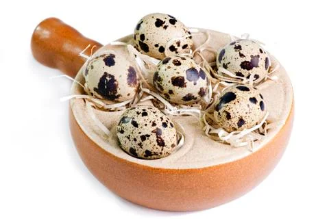 Six quail eggs Stock Photos