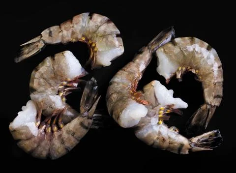 Six shrimps Stock Photos