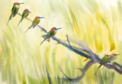 Six small birds Stock Illustration