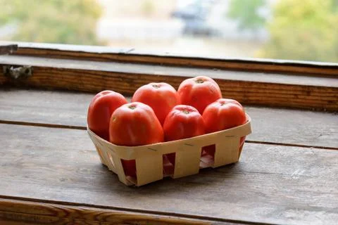 Six Tomatoes in a Crate Фото