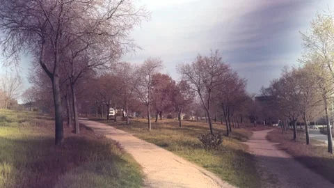 Six variations of a gravel path winding through a park Stock Footage 306252283