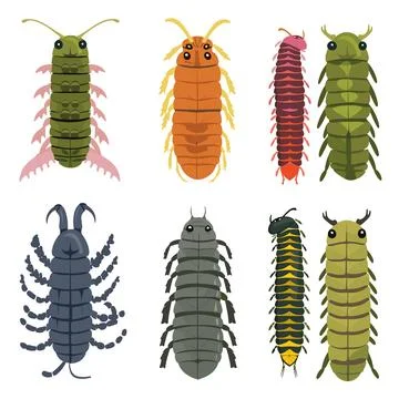 Six various cartoon centipedes different colors poses, centipede has unique body Stock Illustration