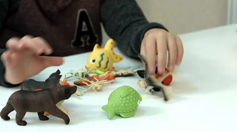 Six-year-old boy in class Stock Footage 65564334