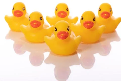 Six yellow rubber ducks lined up in wedge on white background. Team army concept Stock Photos