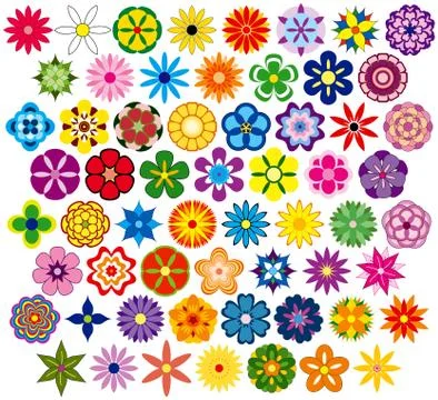 Sixty fabulous flowers 库存插图