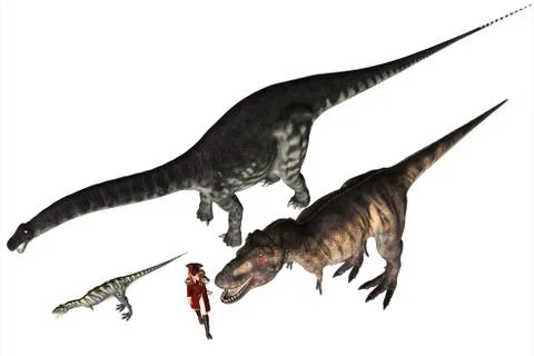 A size comparison between human and various dinosaurs  Stock Illustration