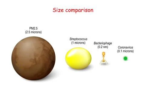 Size comparison. PM 2.5 and coronavirus Stock Illustration