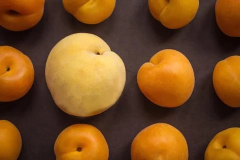 Size matters. Stock Photos