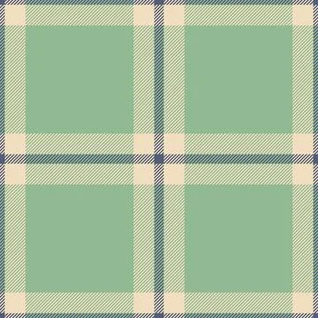 Size vector seamless background, ornate check textile tartan. Feminine fabr.. Illustrazione stock