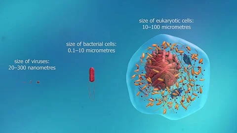 Size of viruses Stock Footage 312981614
