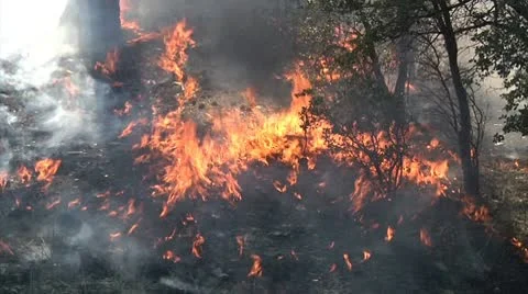 Sizzleing Flames close up Stock Footage 9441365