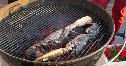Sizzling hot cooking on the griddle pan. Delicious grilled halved Lobster with Stock Footage 132290749