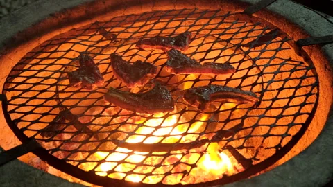 Sizzling lamb chops being grilled on hot coals of wood fire in round fire pit Stock-Footage 337724618