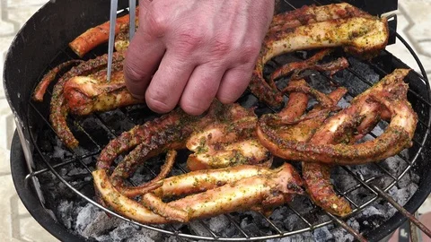 Sizzling octopuss 4K Stock Footage 95814754