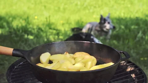 Sizzling Potato Wedges On Charcoal Grill Amid Outdoor Picnic Atmosphere. Stock Footage 326022553
