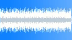 Ska-Spangled Banner Stock Music