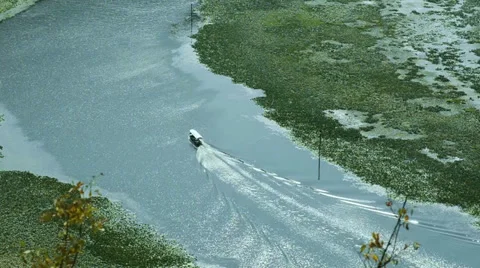 Skadarsko lake Video stock 25344338