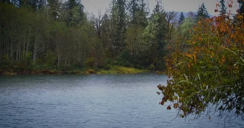 Skagit River on a fall day at Scatter Creek rest stop in the North Cascades Video stock 98250302