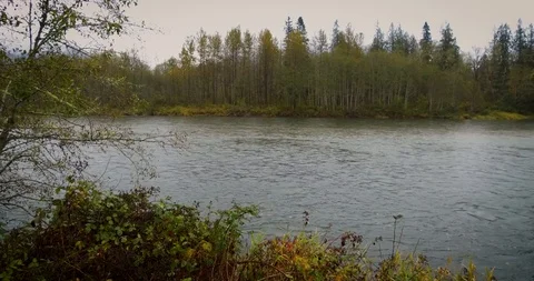 Skagit River on a fall day at Scatter Creek rest stop in the North Cascades Video stock 98250442