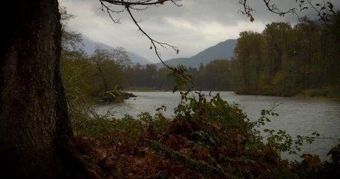 Skagit River on a fall day at Scatter Creek rest stop in the North Cascades Stock-Footage 98250698