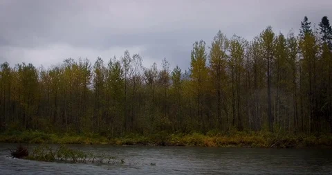 Skagit River on a fall day at Scatter Creek rest stop in the North Cascades Video stock 98250741