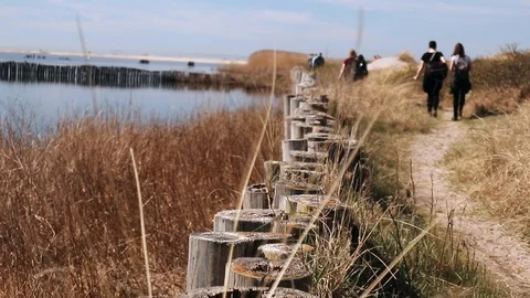 SKÅNELEDEN Stock Footage 107782001