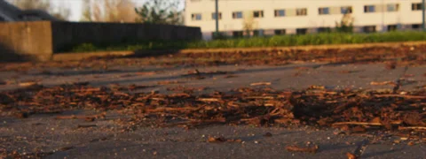 Skatboarding over branches in slow motion Stock Footage 36072573