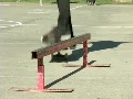 Skate Park HD Footage