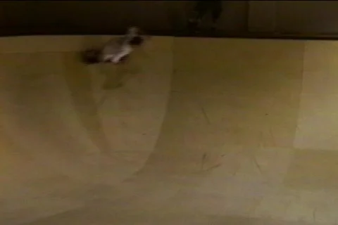 Skate slam Stock Footage 655090