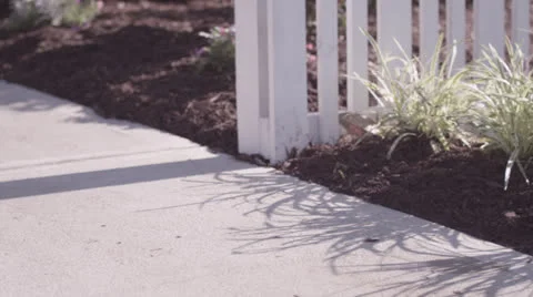 Skateboard Close Up Stock Footage 25945446