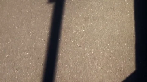 The skateboard rides on asphalt Stock Footage 70570191