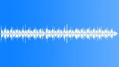 SKATEBOARD Sound Effect