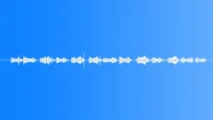 SKATEBOARD Sound Effect
