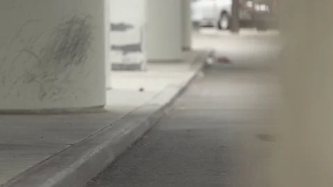 Skateboarder Does Grind Vídeo Stock 74487975