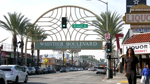 Skateboarder in East L.A. Stock Footage 100651002