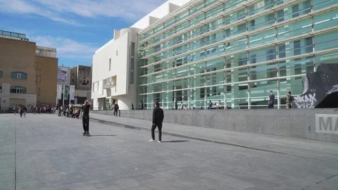 Skateboarder 動画素材 88731576